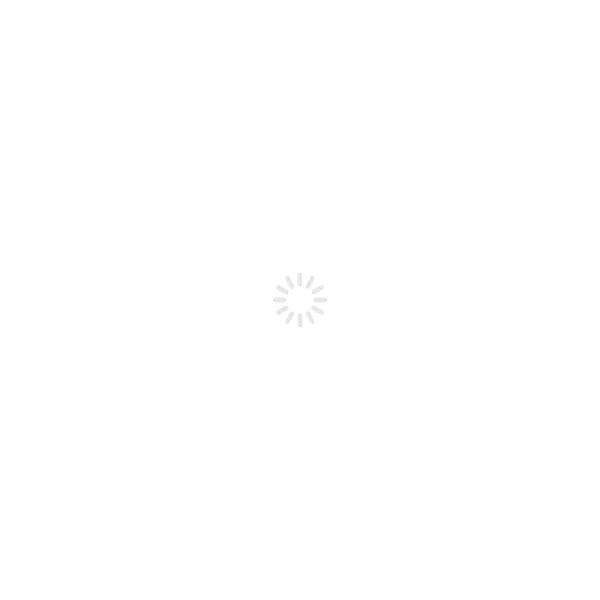 Lottie-Error animation